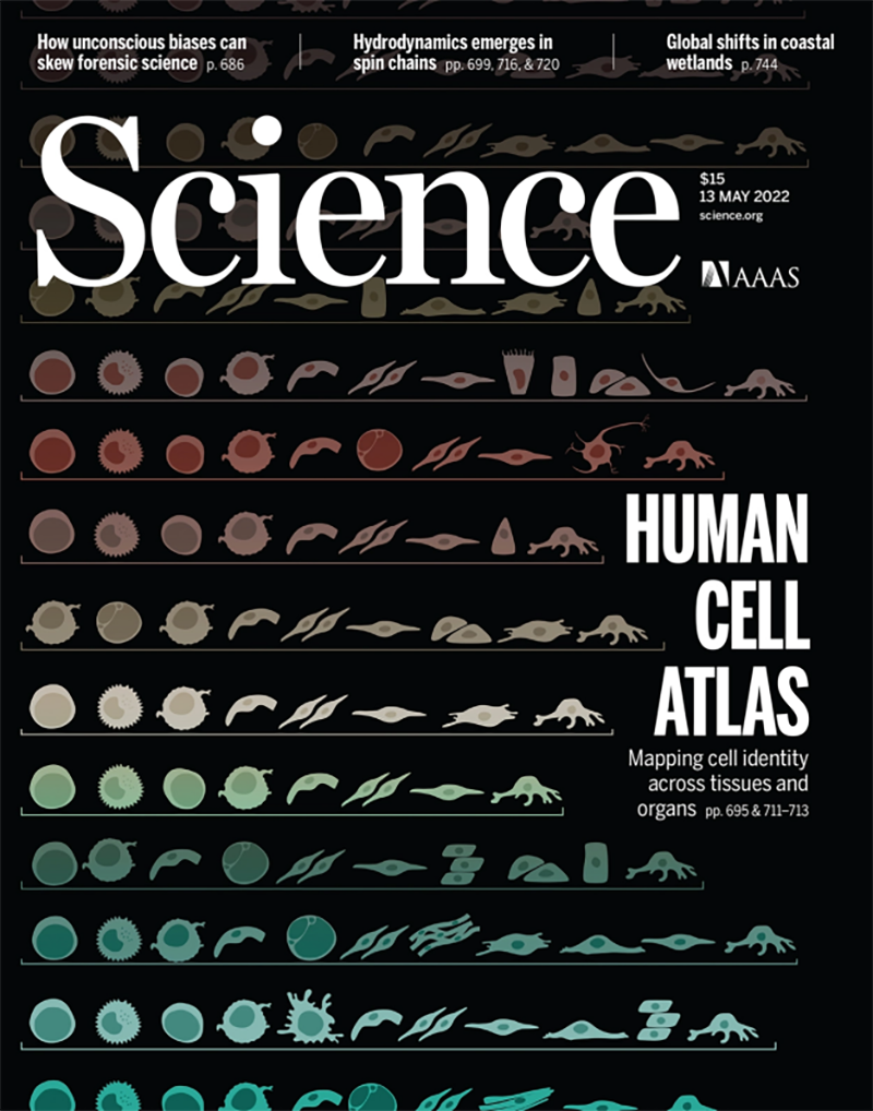 【Science重磅发布】迄今为止，最全面的跨组织细胞图谱绘成